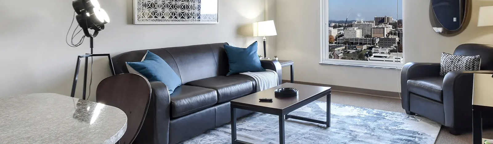 Furnished apartment living space