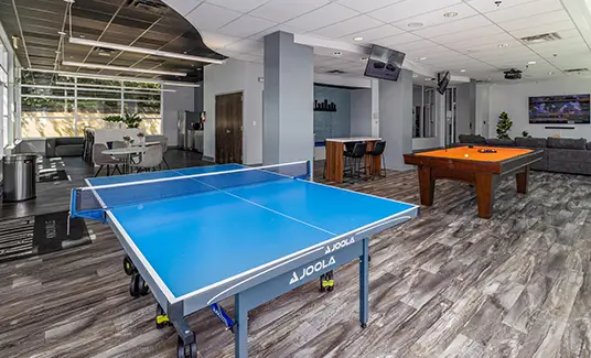 Game room with a ping pong table and pool table