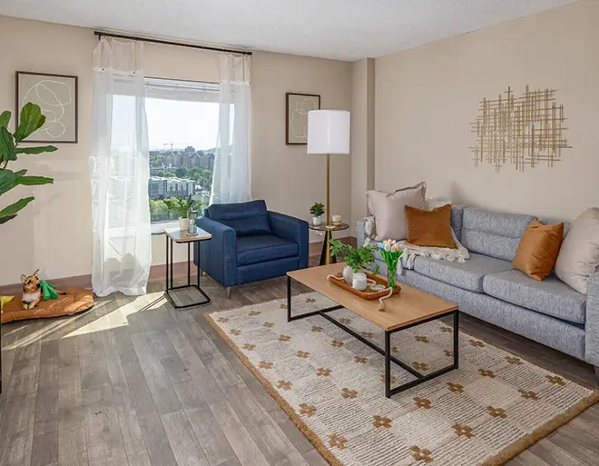 apartment living room