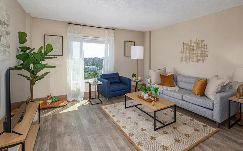 Furnished apartment living room