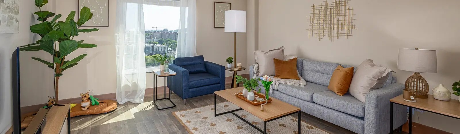 Furnished apartment living room